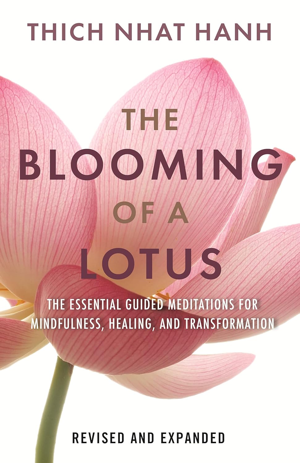 The Blooming of a Lotus Book Cover